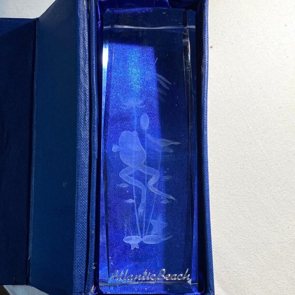 Atlantic Beach 3D Laser Etched Frog w/Dragonfly 6" Crystal Paperweight w/Case - Picture 11 of 12